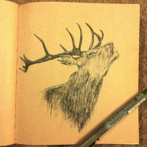 pen paper quick sketch