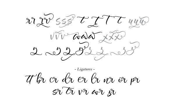 typography   Calligraphy   Script modern script swash