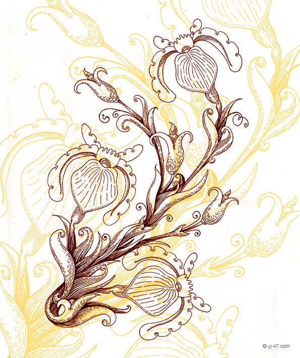 flower ink pencil grapes pattern