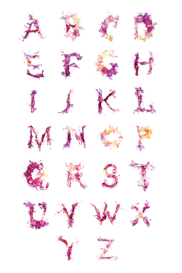 type alice font Flowers floral floral type type design mark twain forgiveness