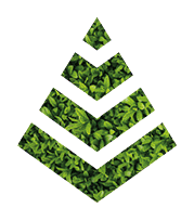 design graphic brand identity logo pattern green ecologic organic Stationery