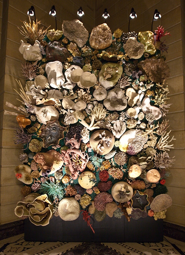 coral reef Ocean conservation marine conservation environment climate change ocean acidification ceramic sculpture clay installation pollution coral reef overfishing