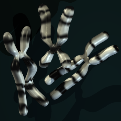 3D Maya chromosome fuzzy banded
