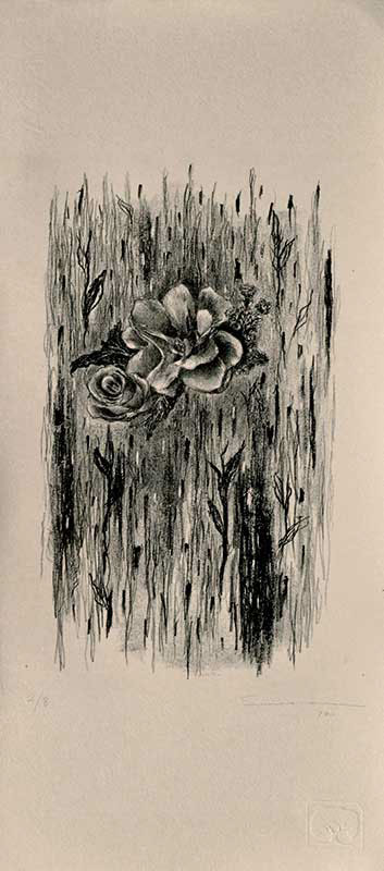 litography litografia Flores lluvi Flowers rain Drawing  printmaking print grabado