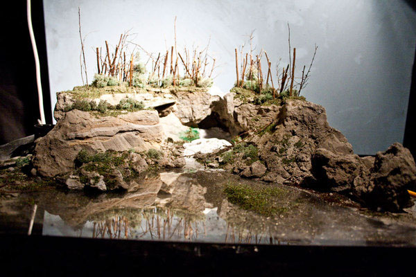 Strange Worlds Matthew Albanese Minature Landscapes models studio Behind the scenes. Landscape Artist realistic Diorama high detail Finely Detailed