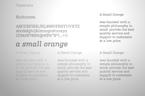 small orange asmallorange logo brand new Fruit vintage crafted banner green Icon hosting Web company Theme look identity