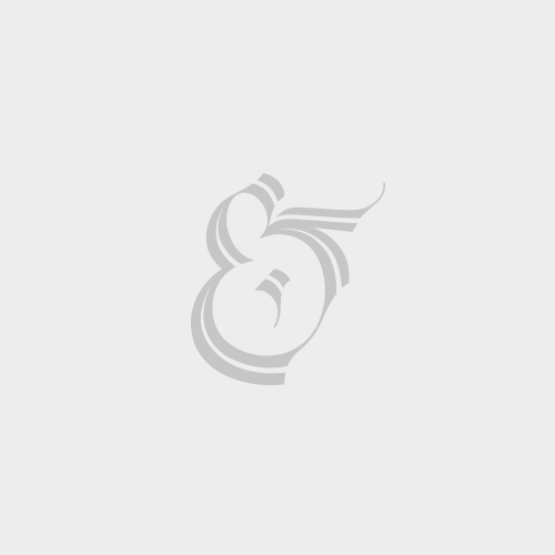 molnar RENATO sopron AMI lettering ampersand et Character graphic design vector font type typo typedesign