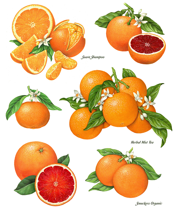 Thirty Years of Orange Packaging Illustrations