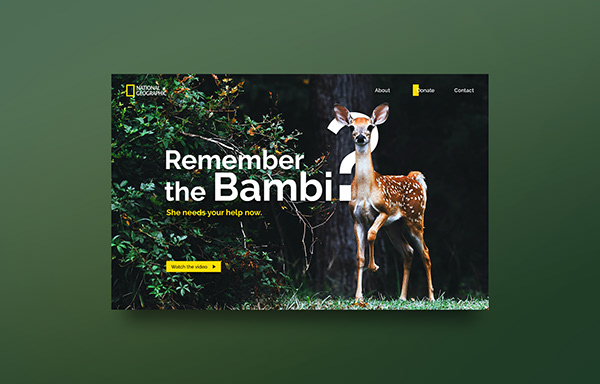 Bambi UI