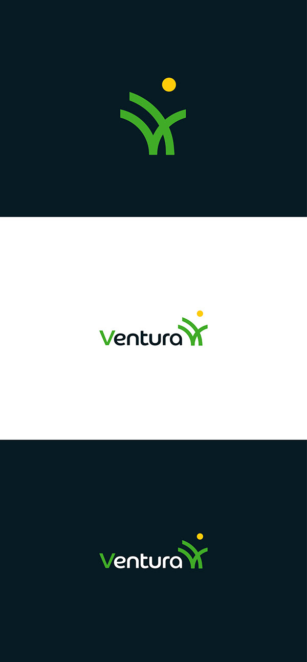 Ventura Logo Branding