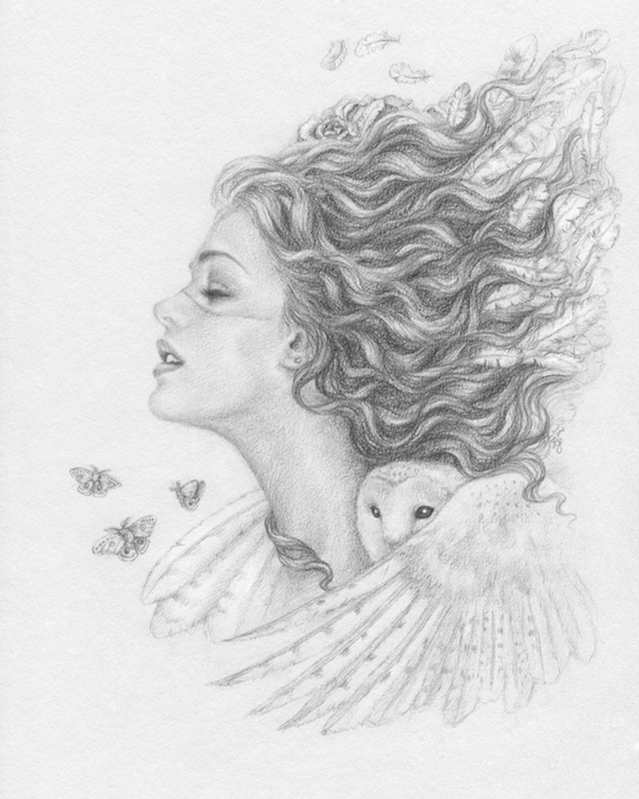 aetherios pencil intricate beauty dreams feminine delicate animals FOX owl hair