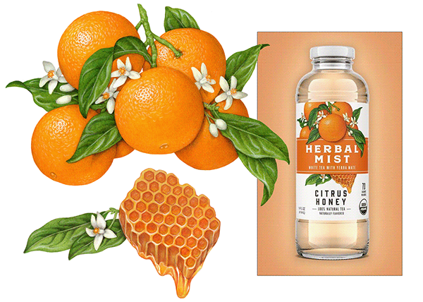Illustrations for Redesigned Herbal Mist Tea Packaging