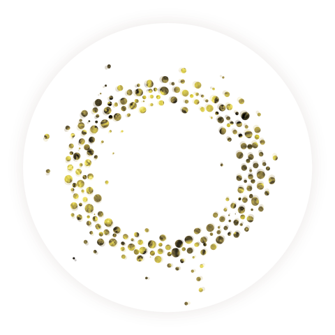 human patterns four temperaments Melancholic sanguine Phlegmatic Choleric personality Bacteria bacteriograms science aesthetics data visualization symbols system Patterns