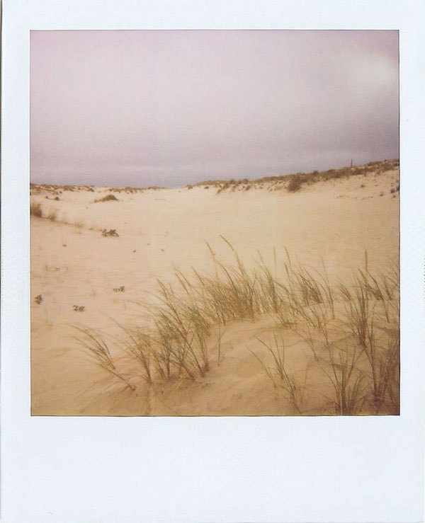 POLAROID 640 instant