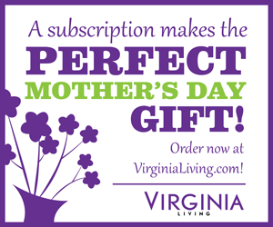 gift  subscription  virginia living