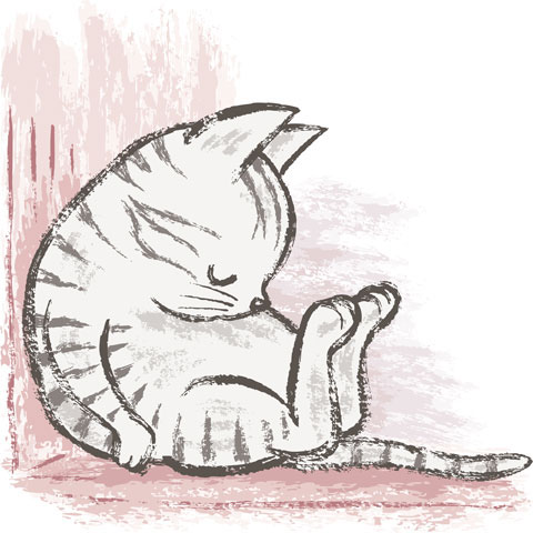 animal Cat kitten pets vector characters