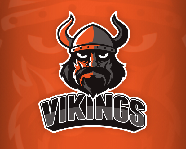 Sports logo  sports logo viking vector design basketball