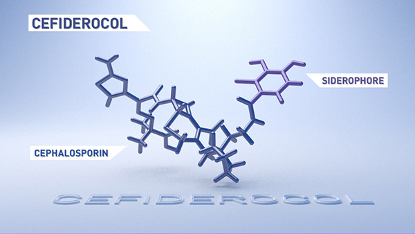 Cefiderocol Molecule