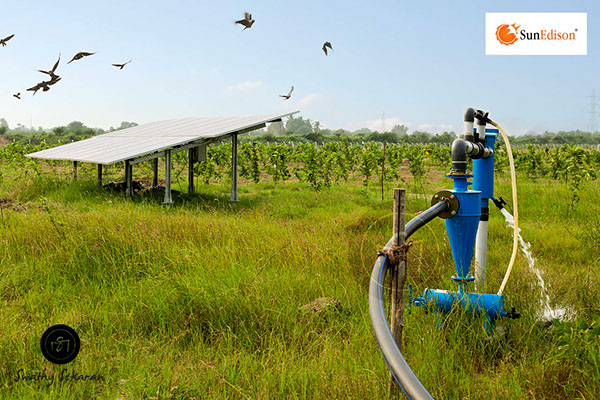 solar water pumps Renewable Energy farmers Landscape agriculture conservation Solar energy