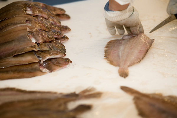 prime meat factory processing butchery fish monger knife scotland linlithgow hygiene campbell's chop slice cut Fillet