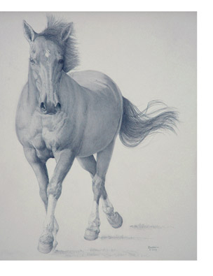 equine Horse Portraits Equine portraits Gouache paintings horses Fillies Colts