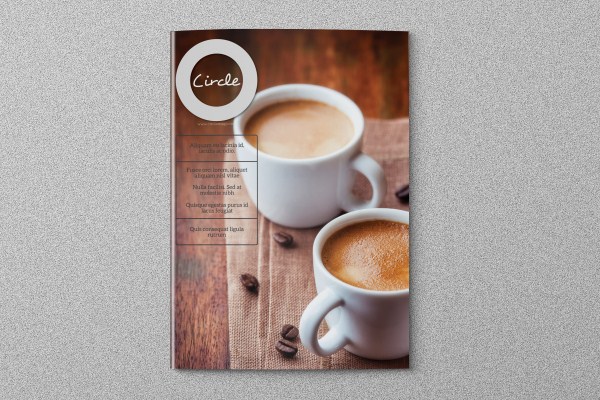 book Booklet business circle clean colour corporate CS4 cs5 cs6 design graphics InDesign magazine