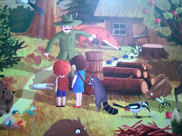 book children's book Picture book animals forest