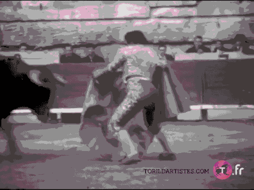 animated gif torero corrida arles matador