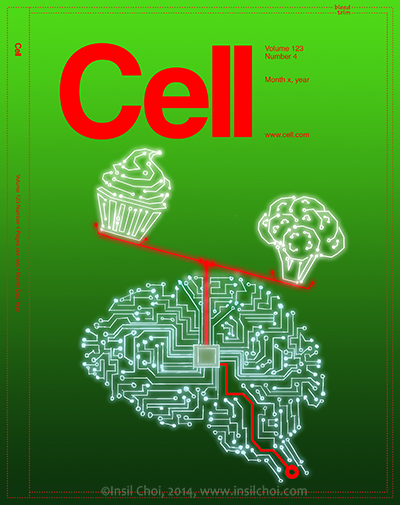 brain circuit broccoli cupcake healthy sugar addiction frogger lab mouse electric shot