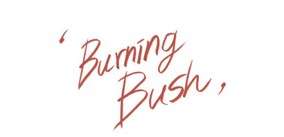 burning bush burning bush