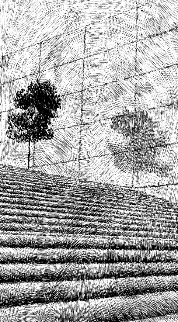 White monochrome black ink noir paper etching blanc stair staiway children Tree 