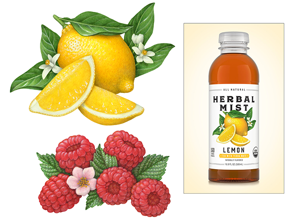 Illustrations for Redesigned Herbal Mist Tea Packaging