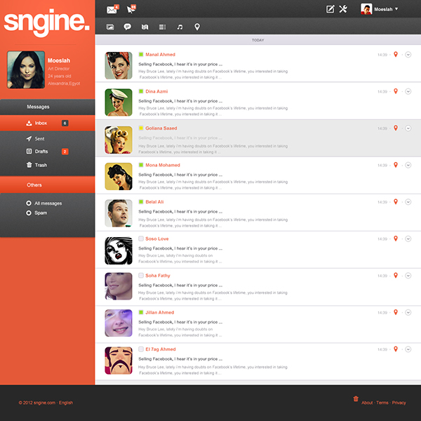 Sngine UI Web Layout Interface social