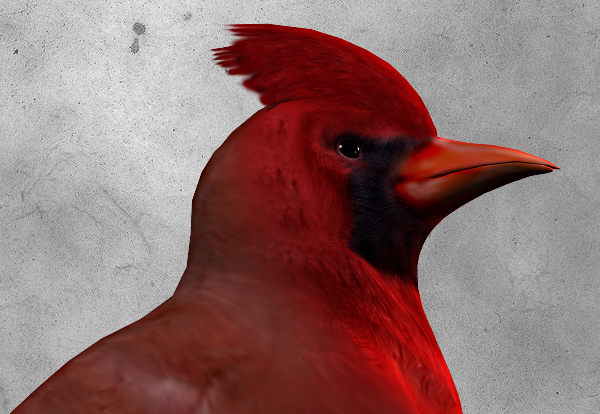 digital inferno adora attack shaun preece craig minchington 3D Poser poser tutorial inspirational design stone man cardinal bird
