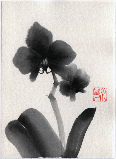 maple oak seed linden basswood hoese chestnut nut japanese ink ink postcard