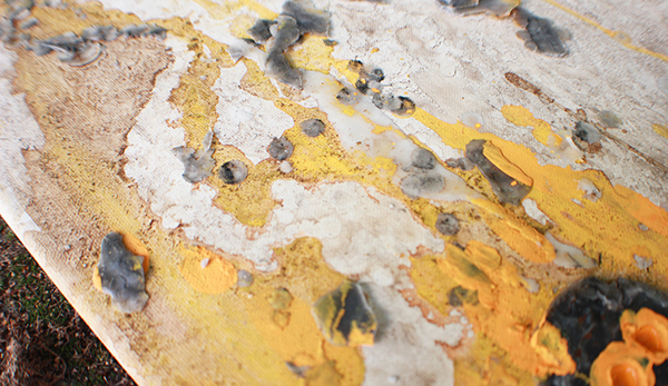 yellow  skull  painting  earth  coffee  rain  Summer  warm  erosion  Background