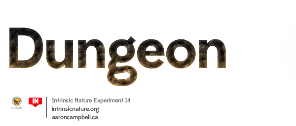 Dungeon intrinsic nature IN14 video game explore Nintendo zelda elder scrolls Skyrim ecstatic ectsy aaron campbell