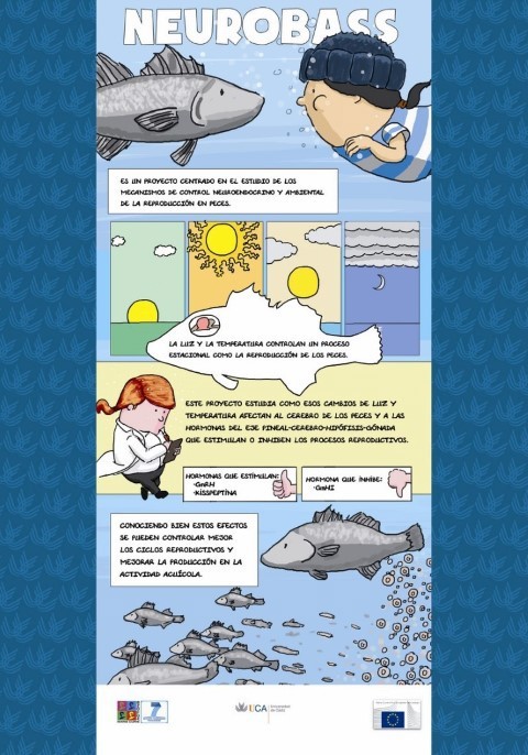 science ILLUSTRATION  comic cádiz spain