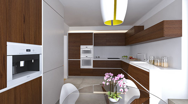 modern contemporary Interior bathroom kitchen Render corian