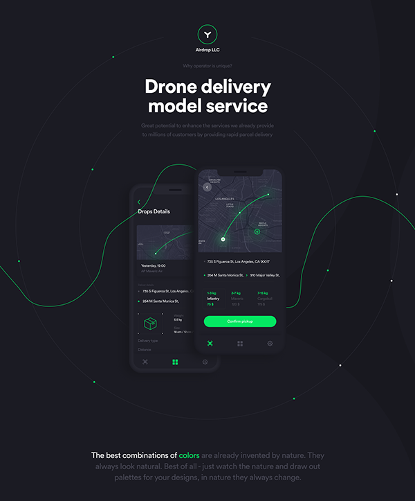 Airdrop - Drone Delivery Service