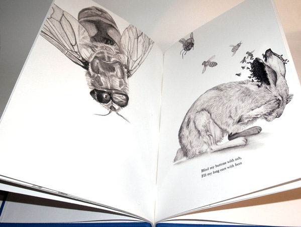 art joanna newsom bear bird moth graphite book cd letterpress embossing ursa major.