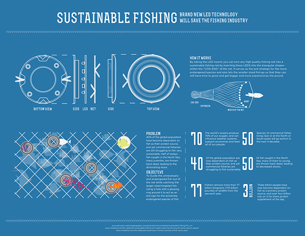 sustainable fishing essay
