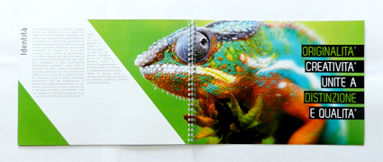 brochure presentation kino concept graphic chameleon services green italian