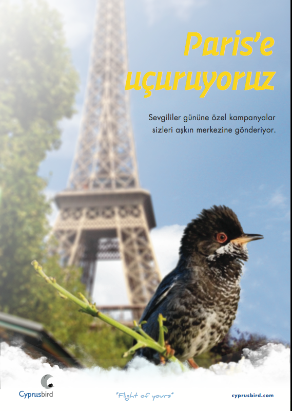 cyprus Cyprusbird bird flight air airline airway identity brand ad advert magazine Magazine Ad airplane Airlines