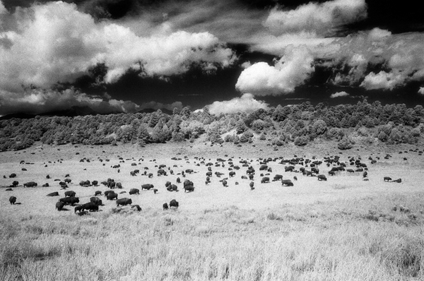 landscapes black and white Colorado infrared film I Love Grain grain is good film grain limited edition landscape photography