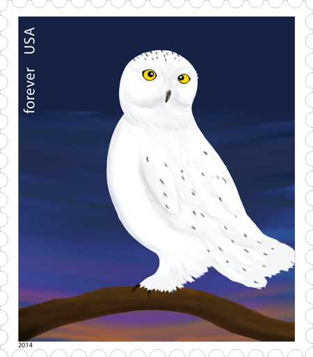 owl stamp digital illustration