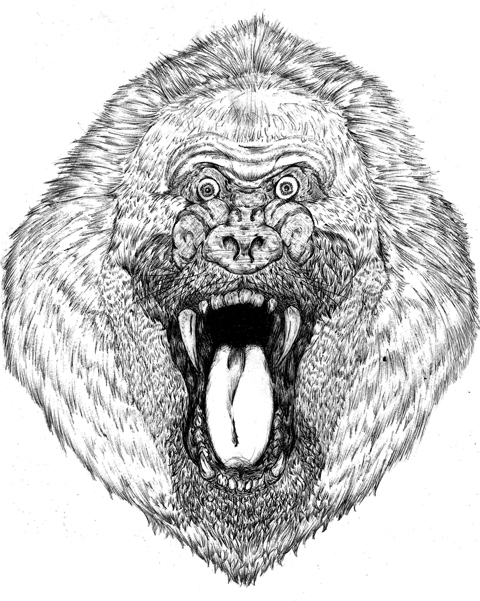 animal wolf monkey tiger ink sketch black and white beast creature roar bark howl