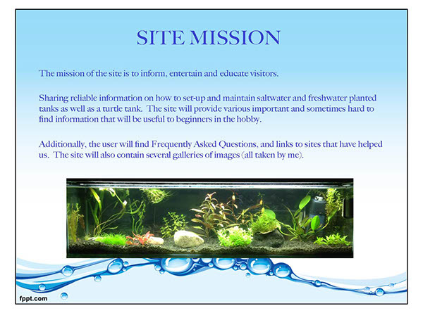 school site design responsive web site