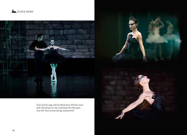 the black swan effect book the black swan effect book