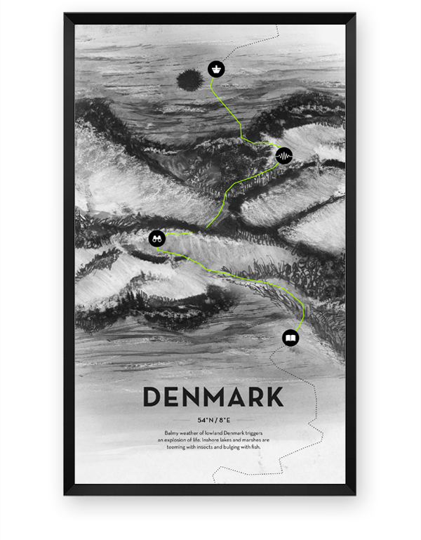 heading north Noma Scandinavia Nature Landscape Culinary Food  journey Travel back to basics Authentic Experience nordic gastronomy Single Page